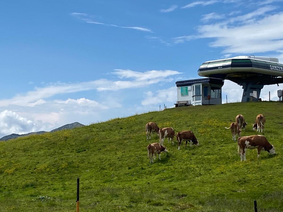Penthaus Kitzebueheler Alpen Apartment Neukirchen am Großvenediger Exterior foto