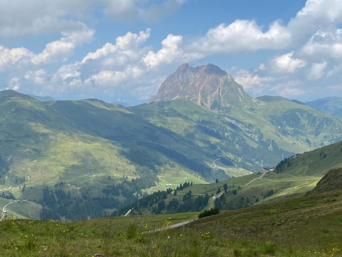 Penthaus Kitzebueheler Alpen Apartment Neukirchen am Großvenediger Exterior foto